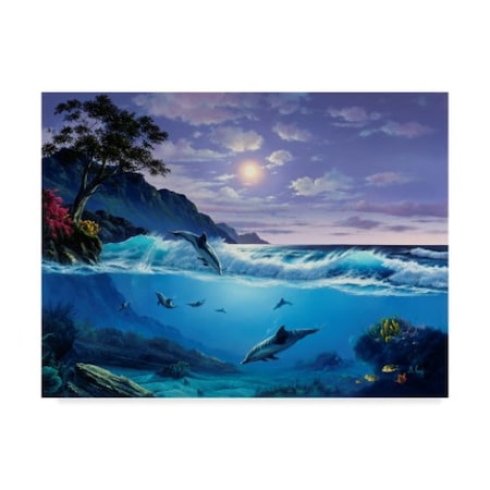 Anthony Casay 'Dolphins In The Water' Canvas Art,35x47